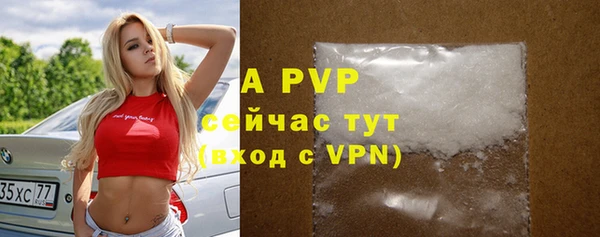 СК Арсеньев