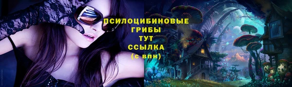 СК Арсеньев