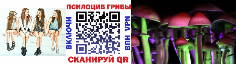 MEGA онион Тырныауз Галлюциногенные грибы Magic Shrooms