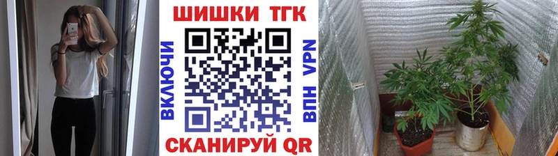 где продают наркотики Тырныауз Конопля сатива